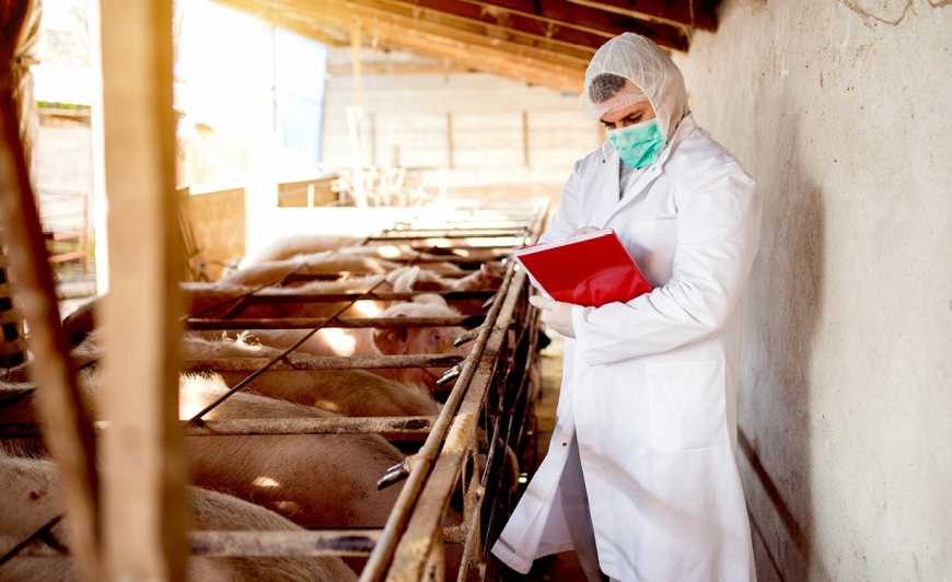 В Україні зміниться процедура реєстрації і обігу ветпрепаратів