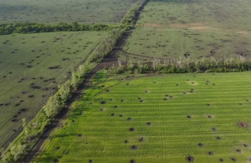 Площі посівів на Донеччині скоротилися майже на 80% у порівнянні з довоєнними - ОДА