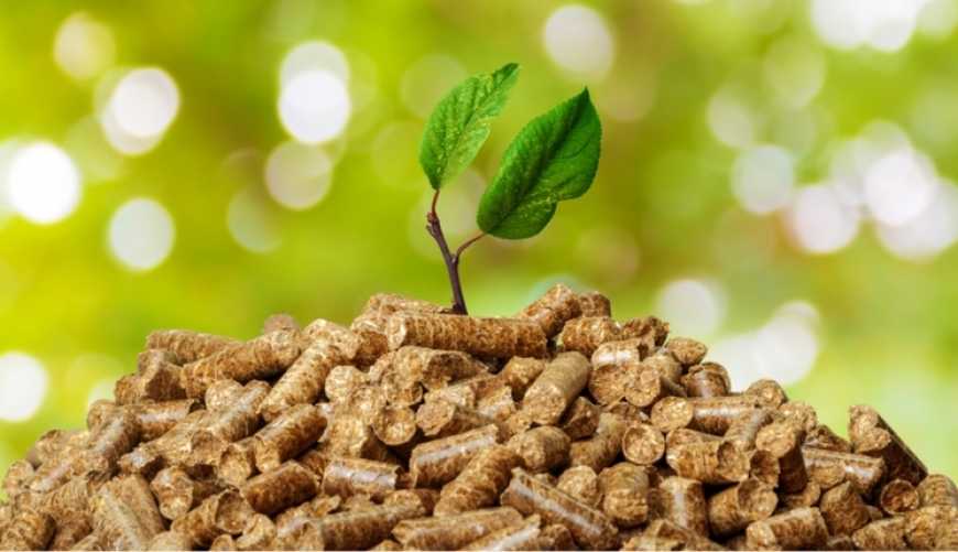 Парламент прийняв за основу законопроєкт про реєстр установок на біопаливі