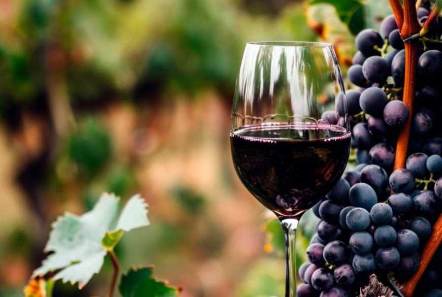 У 2027 році в Україні має запрацювати виноградарсько-виноробний реєстр