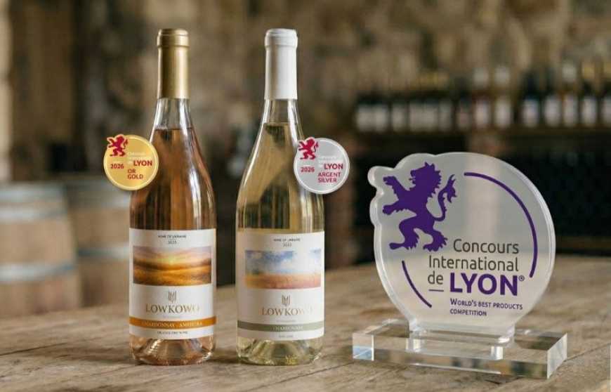 Крафтове вино з Житомирщини здобуло золото у Франції