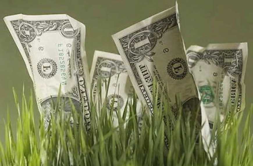 Аграрні розписки: у 2023 році фінансування агросектору склало близько 180 млн доларів