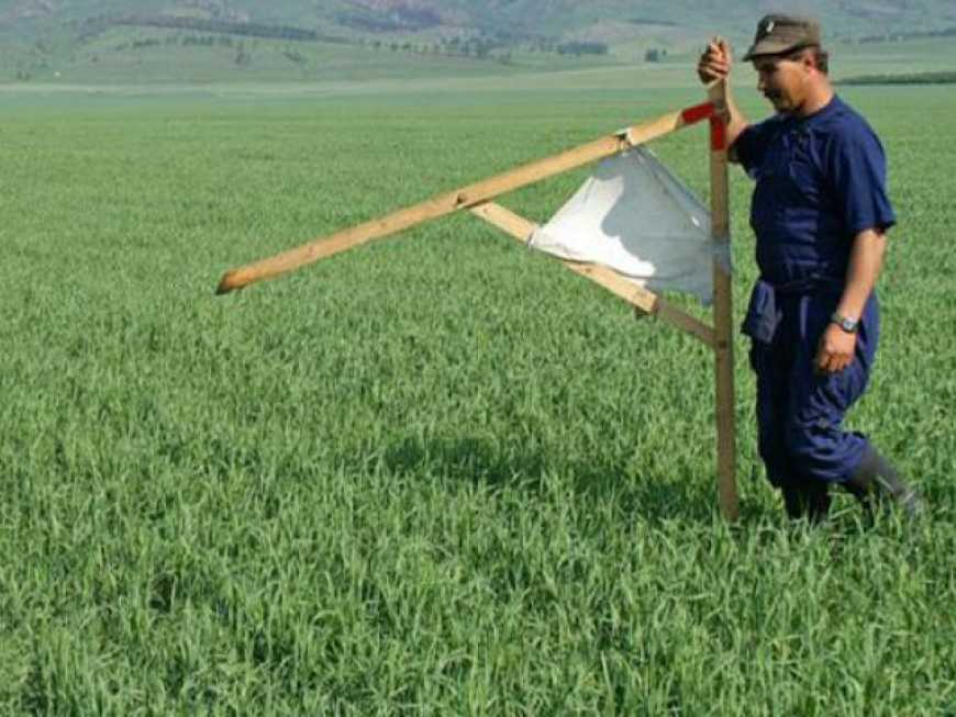 У «Земельній спілці України» розповіли, чому ОТГ не можуть розпоряджатися переданою геокадастром землею