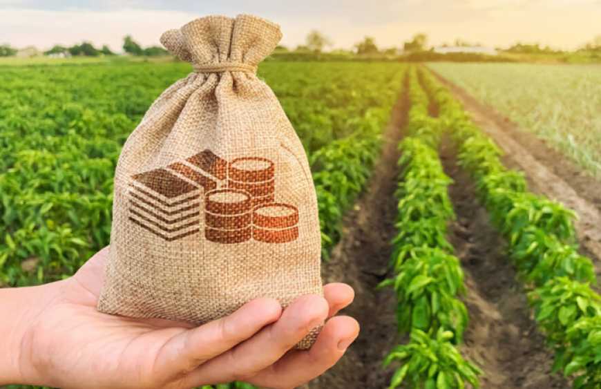 Аграрний комітет рекомендує альтернативний податковий закон замість скандального 5600