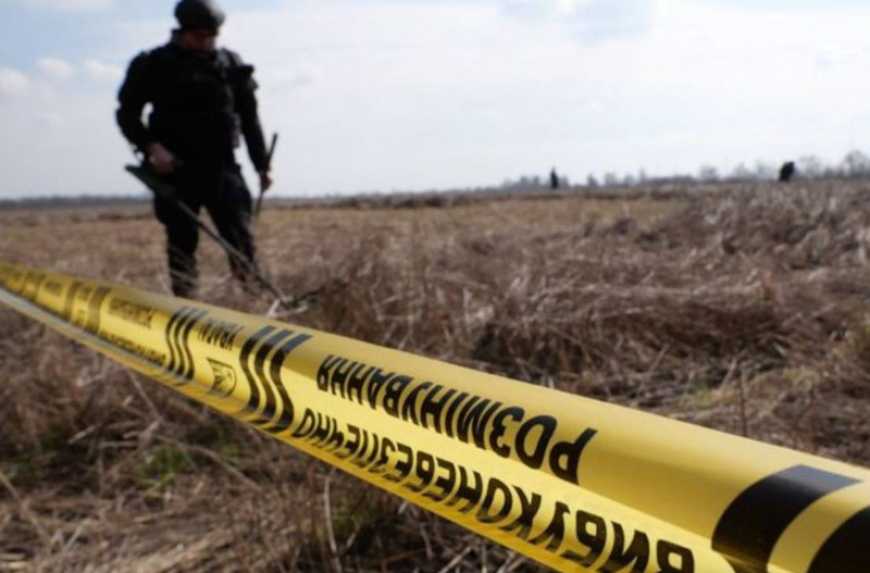 На Миколаївщині вже розміновано майже всі поля