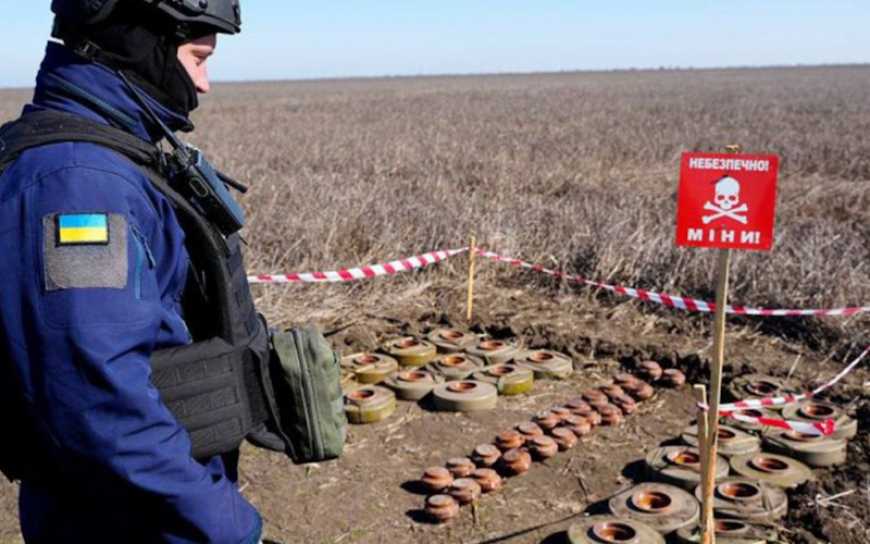 Гуманітарне розмінування: за січень в Україні обстежено ще понад 21 тис. га сільгоспземель