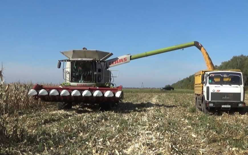 Жнива-2022: аграрії Миколаївщини та Одещини завершили збирання врожаю
