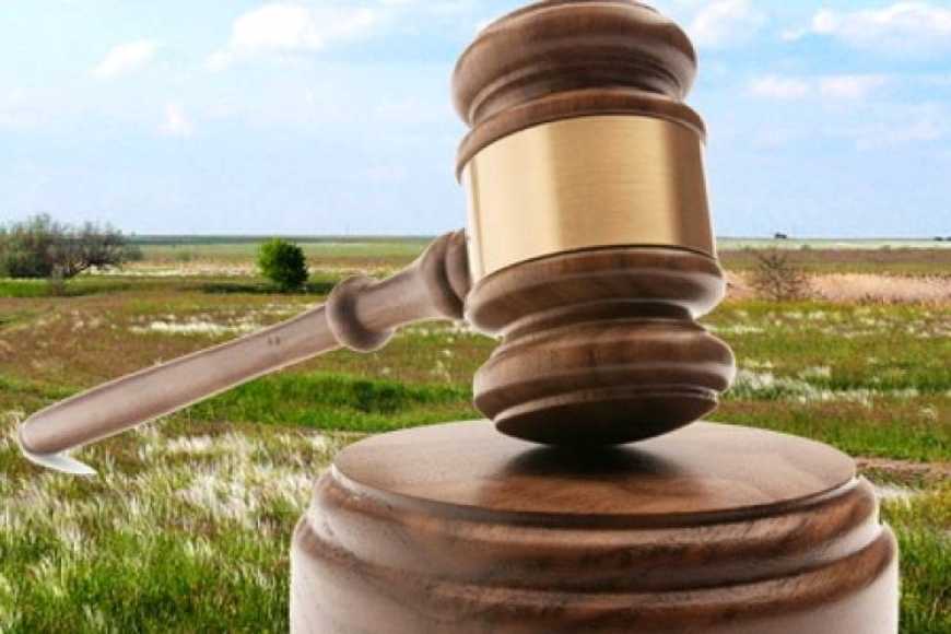 «Земельний банк»: на аукціон із суборенди виставлено найбільший лот – земельну ділянку площею 3969 га