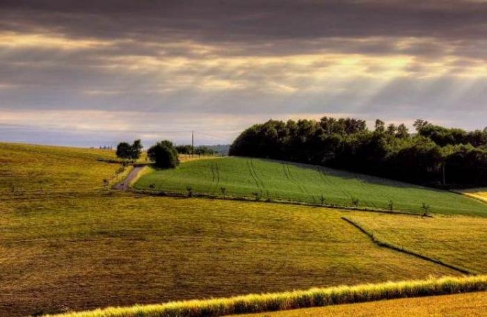 Орендарям держземлі потрібно звернути увагу на три основні моменти, - експерт